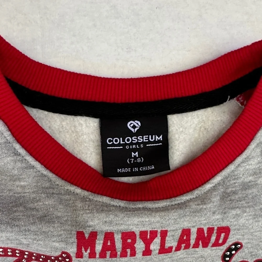 New Colosseum Red, Gray, and Black Kids Sweater SZ M